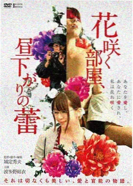 雾港谜踪电影海报
